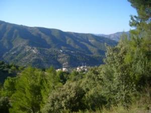 منظر من ضواحي قرية  المروج  24