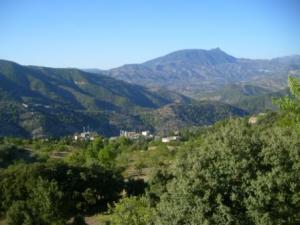 منظر من ضواحي قرية  المروج  25