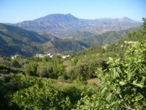 منظر من ضواحي قرية  المروج  27