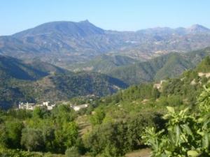 منظر من ضواحي قرية  المروج  28