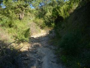 منظر من ضواحي قرية  المروج  30