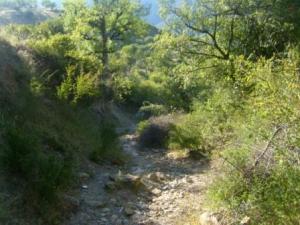 منظر من ضواحي قرية  المروج  31