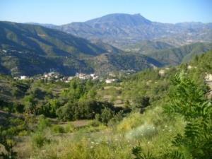 منظر من ضواحي قرية  المروج  32