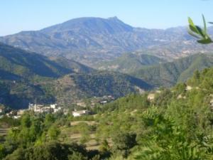 منظر من ضواحي قرية  المروج  33