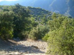 منظر من ضواحي قرية  المروج 35