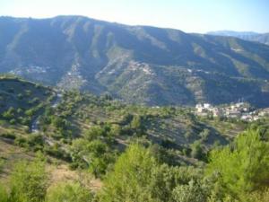 صورة من ضواحي مدينة  المروج  1