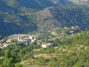 صورة من ضواحي مدينة  المروج  4