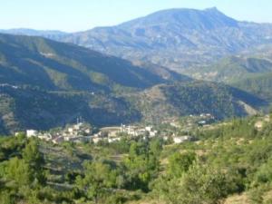 صورة من ضواحي مدينة  المروج  5