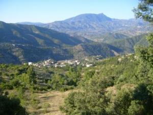 صورة من ضواحي مدينة  المروج  6