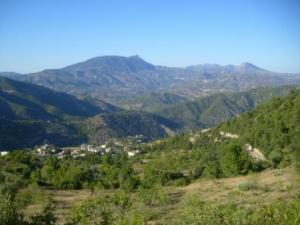 صورة من ضواحي مدينة  المروج  8