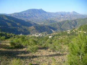 صورة من ضواحي مدينة  المروج  10