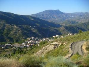 صورة من ضواحي مدينة  المروج  15