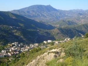 صورة من ضواحي مدينة  المروج  16