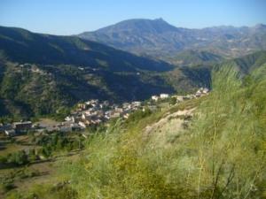 صورة من ضواحي مدينة  المروج  19