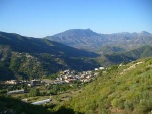 صورة من ضواحي مدينة  المروج  21