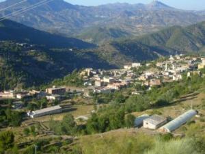 صورة من ضواحي مدينة  المروج  25