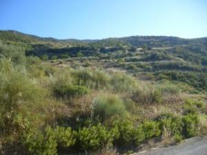 صورة من ضواحي مدينة  المروج  26