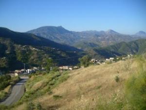 صورة من ضواحي مدينة  المروج  27