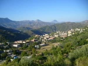 صورة من ضواحي مدينة  المروج  28