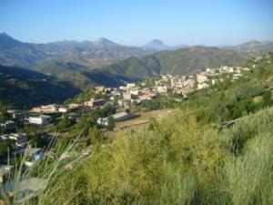 صورة من ضواحي مدينة  المروج  32