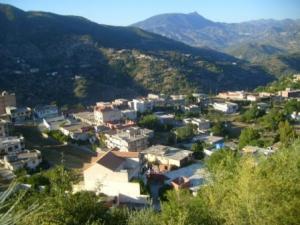 صورة من ضواحي مدينة  المروج  33