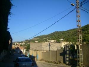 صورة من ضواحي مدينة  المروج  34