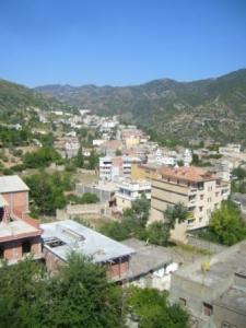 صورة من ضواحي مدينة  المروج  36