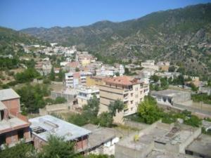 صورة من مدينة  المروج  2