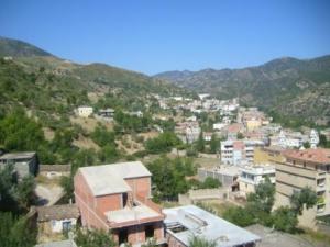 صورة من مدينة  المروج  3