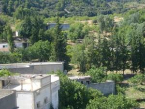 صورة من مدينة  المروج  8