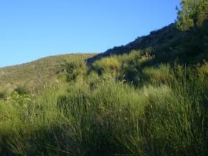 صورة من بلدية  المروج