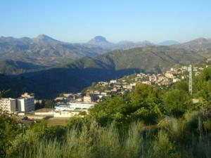 صورة من بلدية  المروج  2