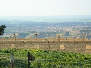 Sur les hauteurs de Mohammadia (Wilaya de Mascara)