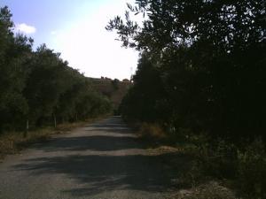 Chemin du Petit Barrage (Mascara)