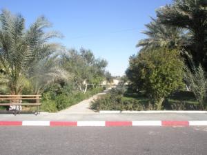Espace vert près du Rectorat de l'Université de Ouargla