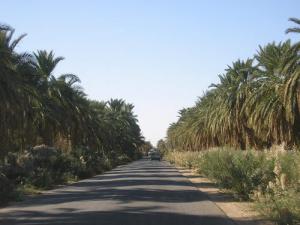 Tariq el Chott (Wilaya de Ouargla)