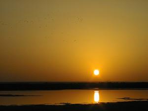 Lever du Jour à Ouargla (Chott)