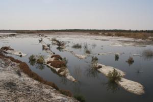 Paysage de Chott (Commune de Ain El-Beida)