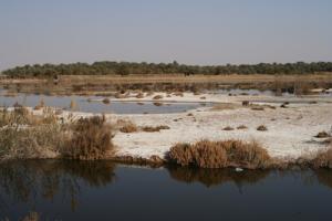 Retenue d'eau dans la région de Chott à Ain El-Beida