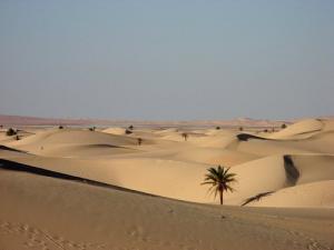Dunes de Sable à Ouargla