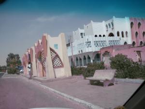 RUELLE DE LA CNAS (OUARGLA RN 49)