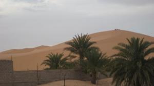Dunes de Sable et Palmeraie à Ain Beida
