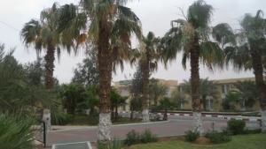 Université de Ouargla
