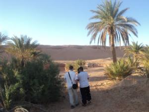 Aux alentours de Ksar Ben Driss