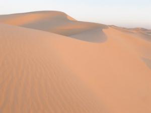 Cordon dunaire détaché du Grand Erg Oriental dans la wilaya de Ouargla