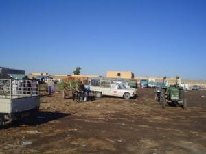 Place du Marché Hebdomadaire de Ouargla