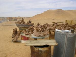 Roses des Sables à Ouargla