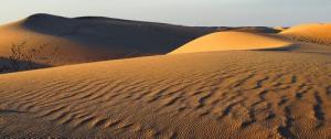 Les Dunes de Sables entourant Ouargla