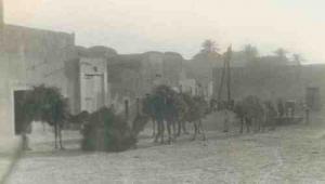 Le Souk de Rouissat en 1953