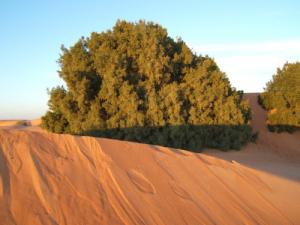 Beauté Naturelle de N'goussa
